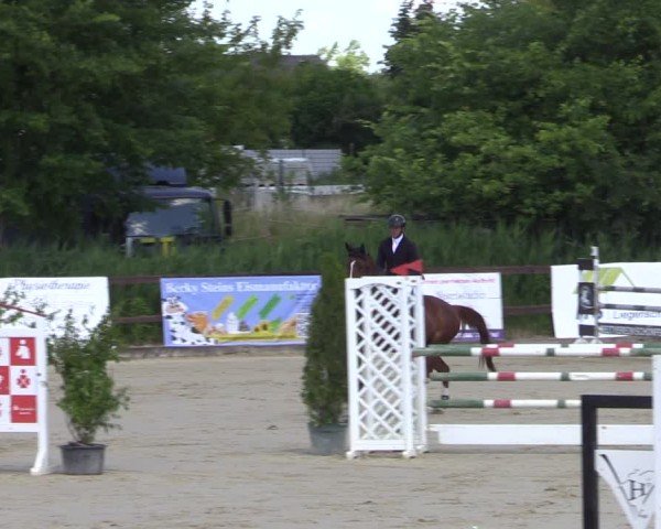 Reitturnier Schönfeld 2024