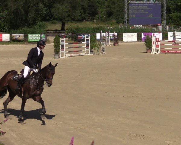 Reitturnier Schönfeld 2024