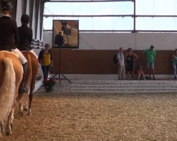 Datteln 2012