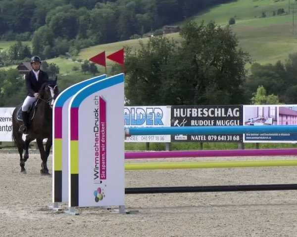 Reitturnier Hitzkirch 2024