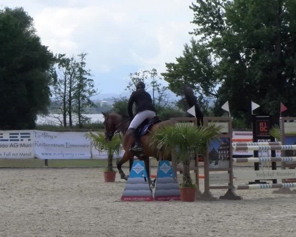 Reitturnier Hitzkirch 2024