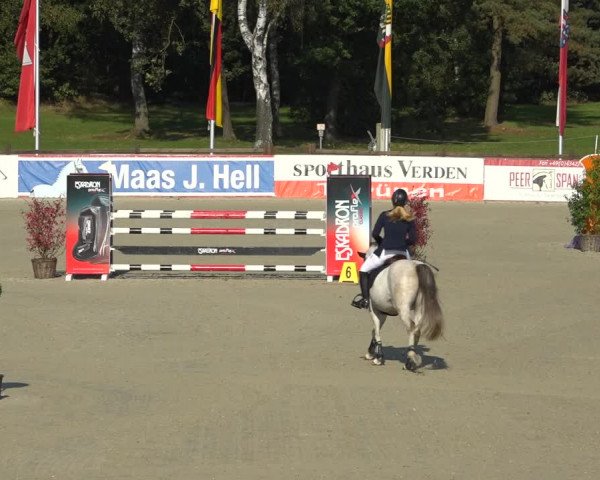 Reitturnier Westergellersen 2021