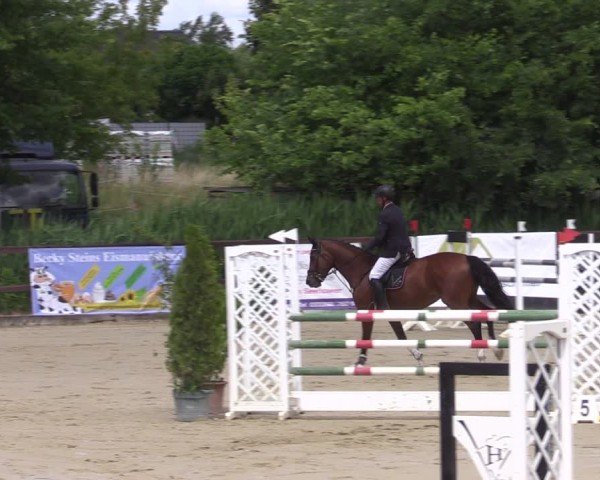 Reitturnier Schönfeld 2024