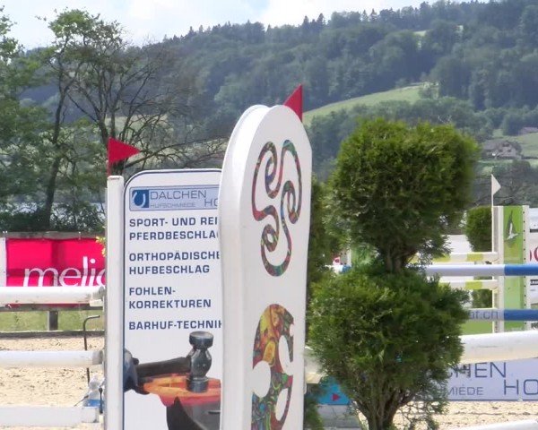 Reitturnier Hitzkirch 2024