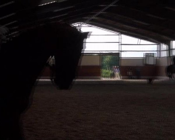 Datteln 2012