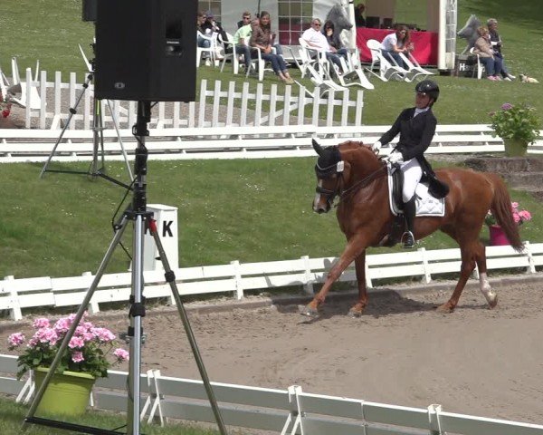 Reitturnier Nörten-Hardenberg 2024