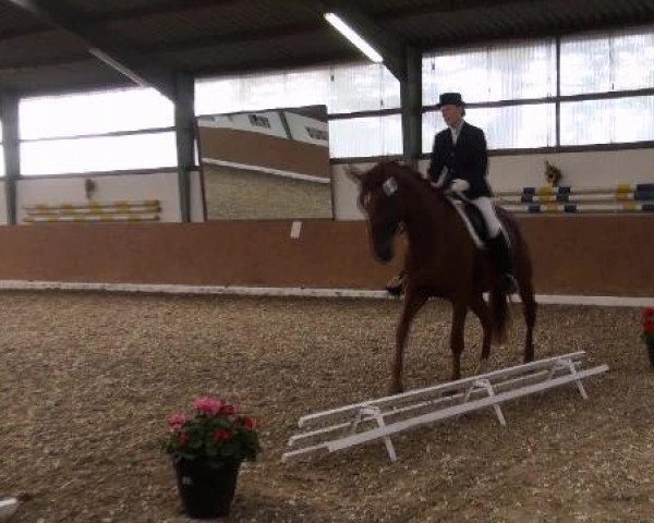 Datteln 2012