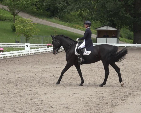 Reitturnier Nörten-Hardenberg 2024