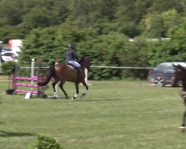 Reitturnier Bad Windsheim/Mfr. 2024