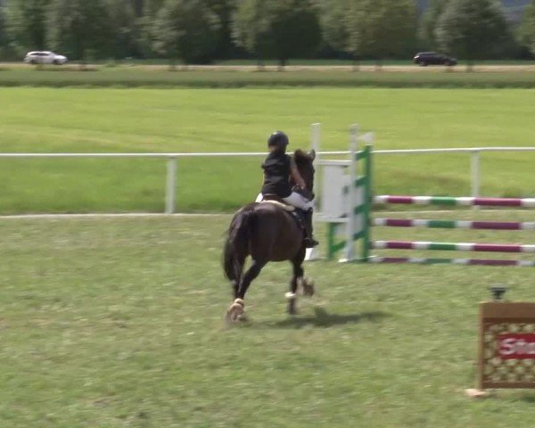 Reitturnier Bad Windsheim/Mfr. 2024