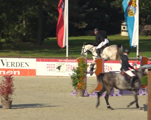 Reitturnier Westergellersen 2021