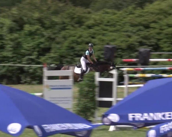 Reitturnier Bad Windsheim/Mfr. 2024