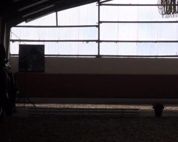 Reitturnier Datteln 2012