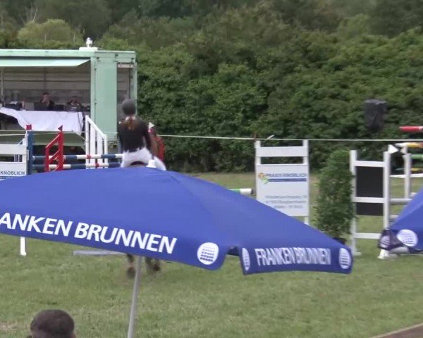 Reitturnier Bad Windsheim/Mfr. 2024