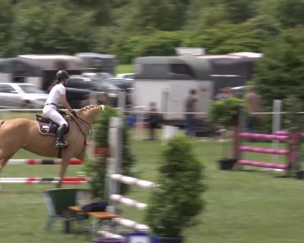 Reitturnier Bad Windsheim/Mfr. 2024