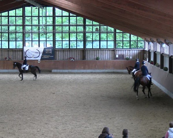Reitturnier Fröndenberg 2024