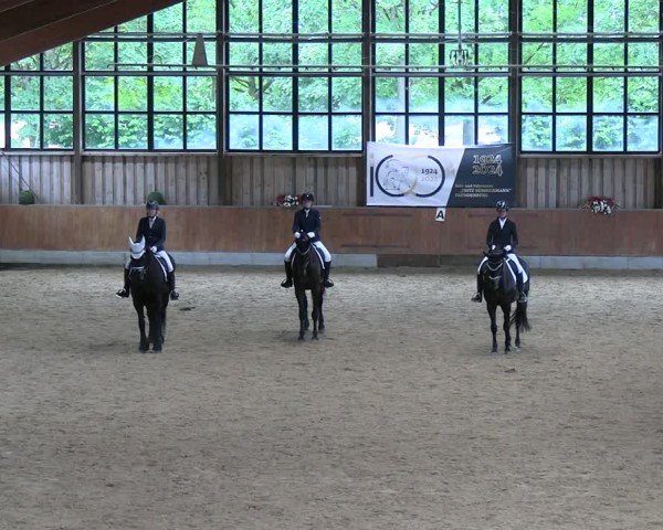 Reitturnier Fröndenberg 2024