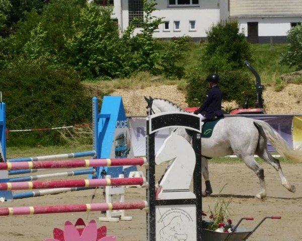 Reitturnier Mücke-Atzenhain 2024