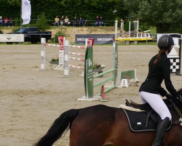 Reitturnier Mücke-Atzenhain 2024