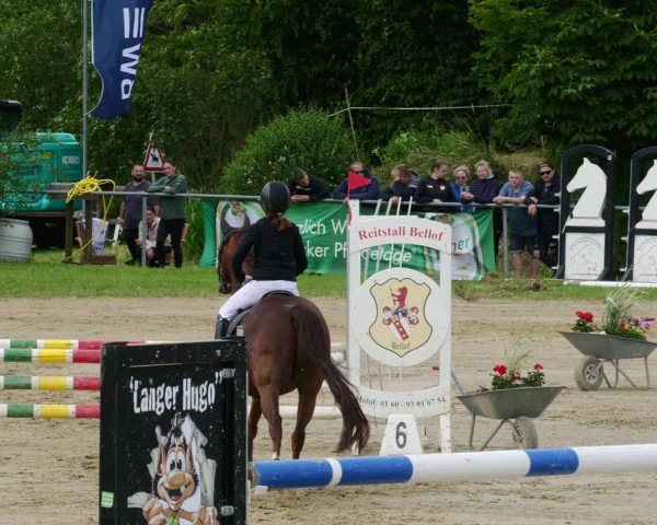 Reitturnier Mücke-Atzenhain 2024