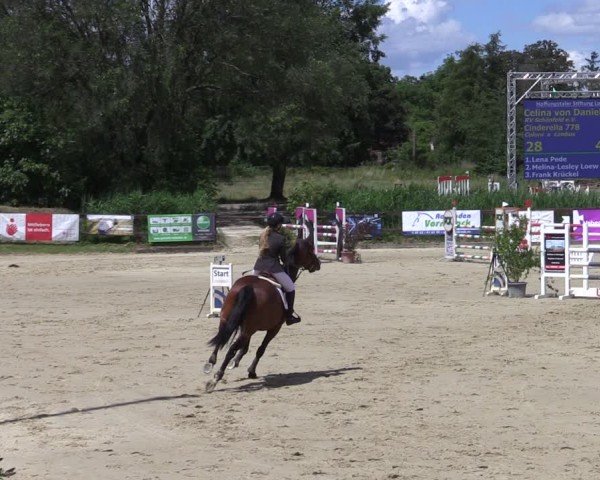 Reitturnier Schönfeld 2024