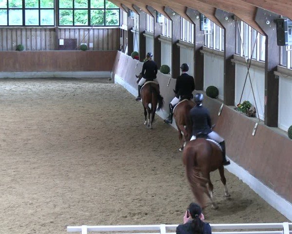 Reitturnier Fröndenberg 2024