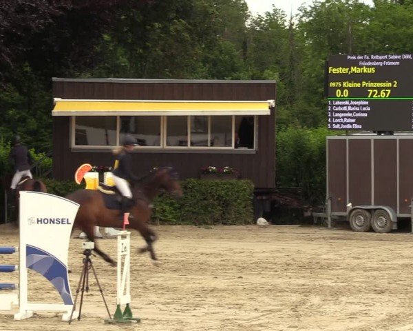 Reitturnier Fröndenberg 2024