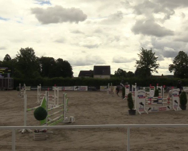 Reitturnier Fröndenberg 2024