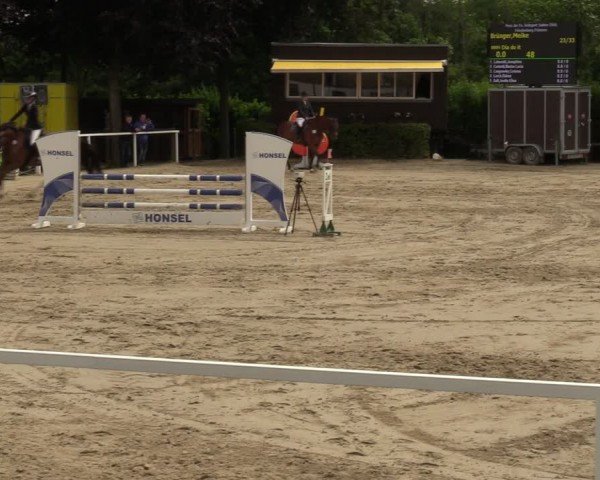 Reitturnier Fröndenberg 2024