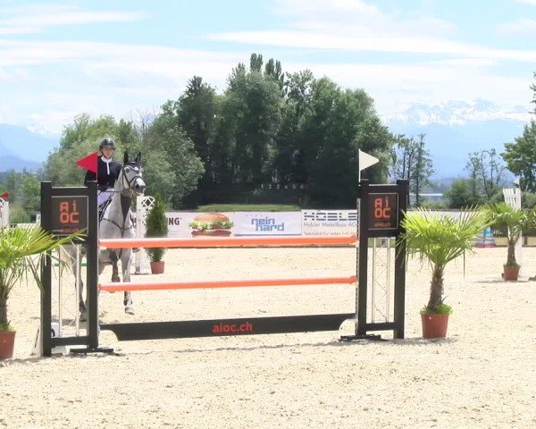 Reitturnier Hitzkirch 2024