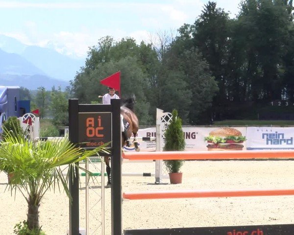 Reitturnier Hitzkirch 2024