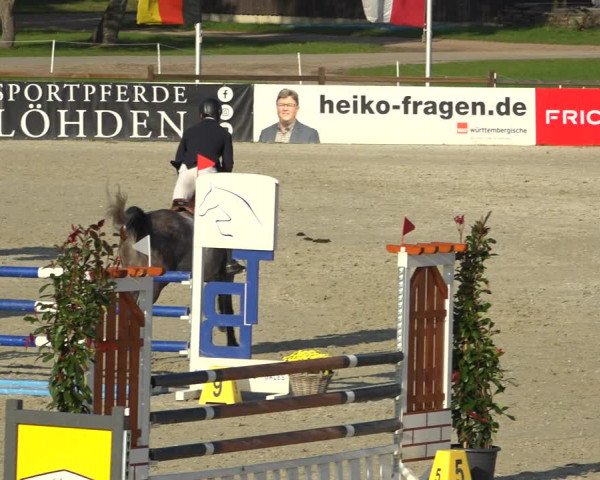 Reitturnier Westergellersen 2021