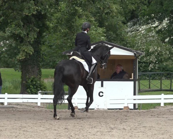 Reitturnier Nörten-Hardenberg 2024