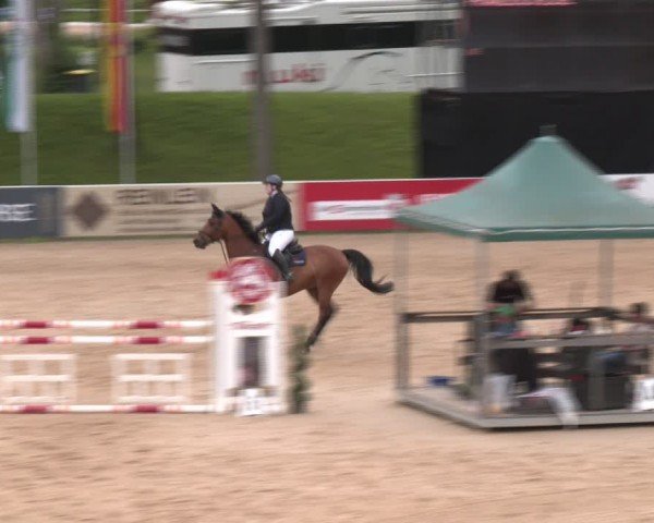 Reitturnier Stadl-Paura 2024
