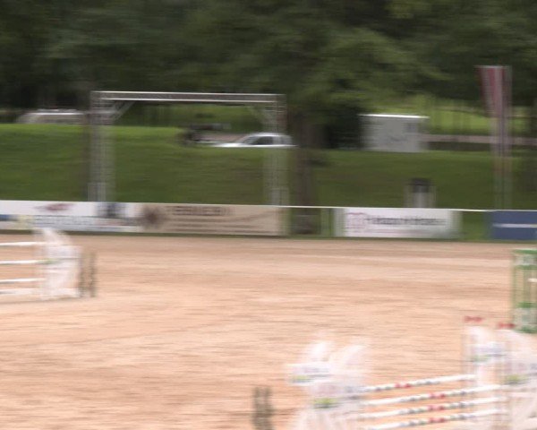 Reitturnier Stadl-Paura 2024