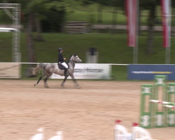 Reitturnier Stadl-Paura 2024