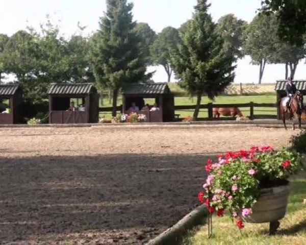 Datteln 2012