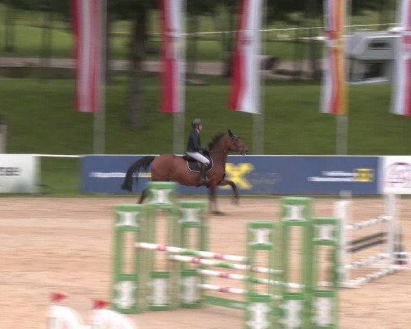 Reitturnier Stadl-Paura 2024