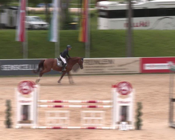 Reitturnier Stadl-Paura 2024