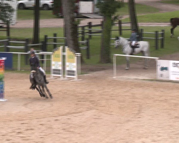Reitturnier Stadl-Paura 2024