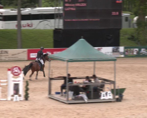 Reitturnier Stadl-Paura 2024