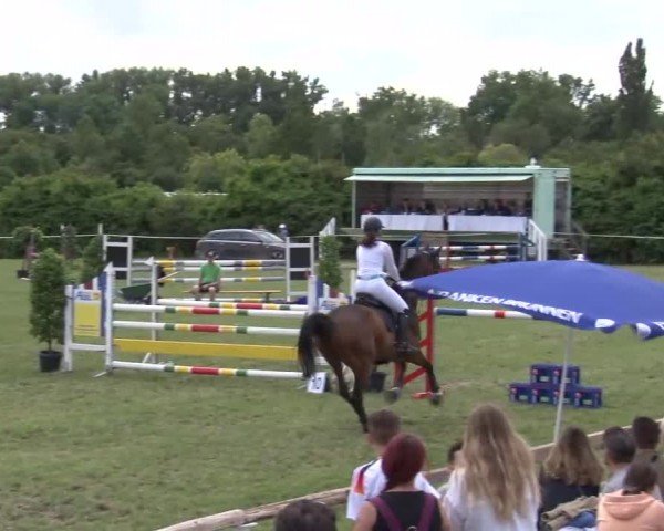 Reitturnier Bad Windsheim/Mfr. 2024