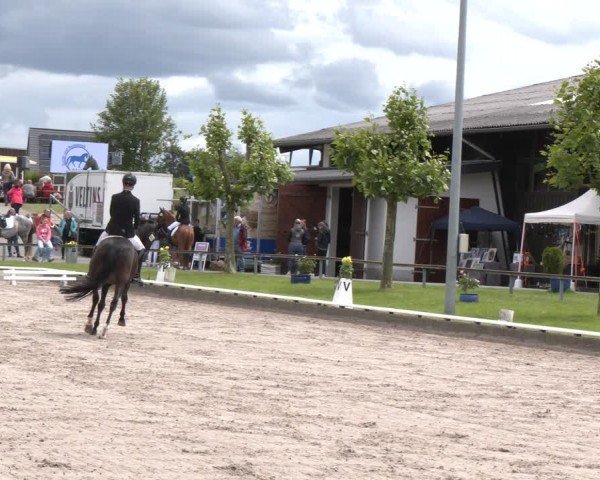 Reitturnier Fröndenberg 2024