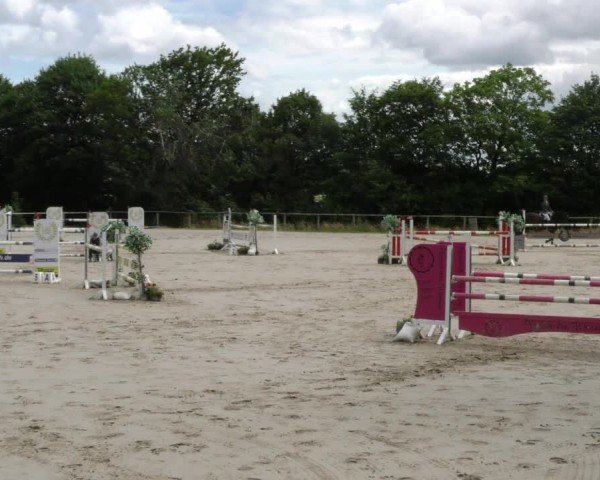 Reitturnier Springe 2024