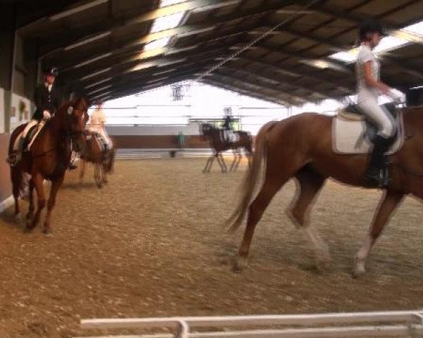 Datteln 2012