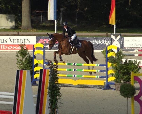 Reitturnier Westergellersen 2021