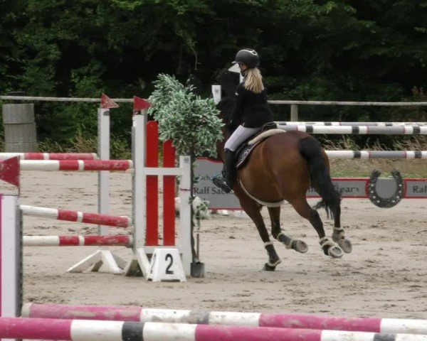 Reitturnier Springe 2024