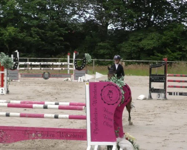 Reitturnier Springe 2024