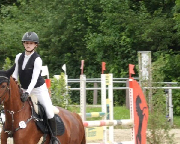 Reitturnier Winnenden 2024