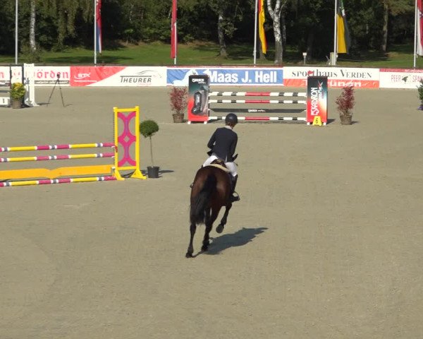 Reitturnier Westergellersen 2021